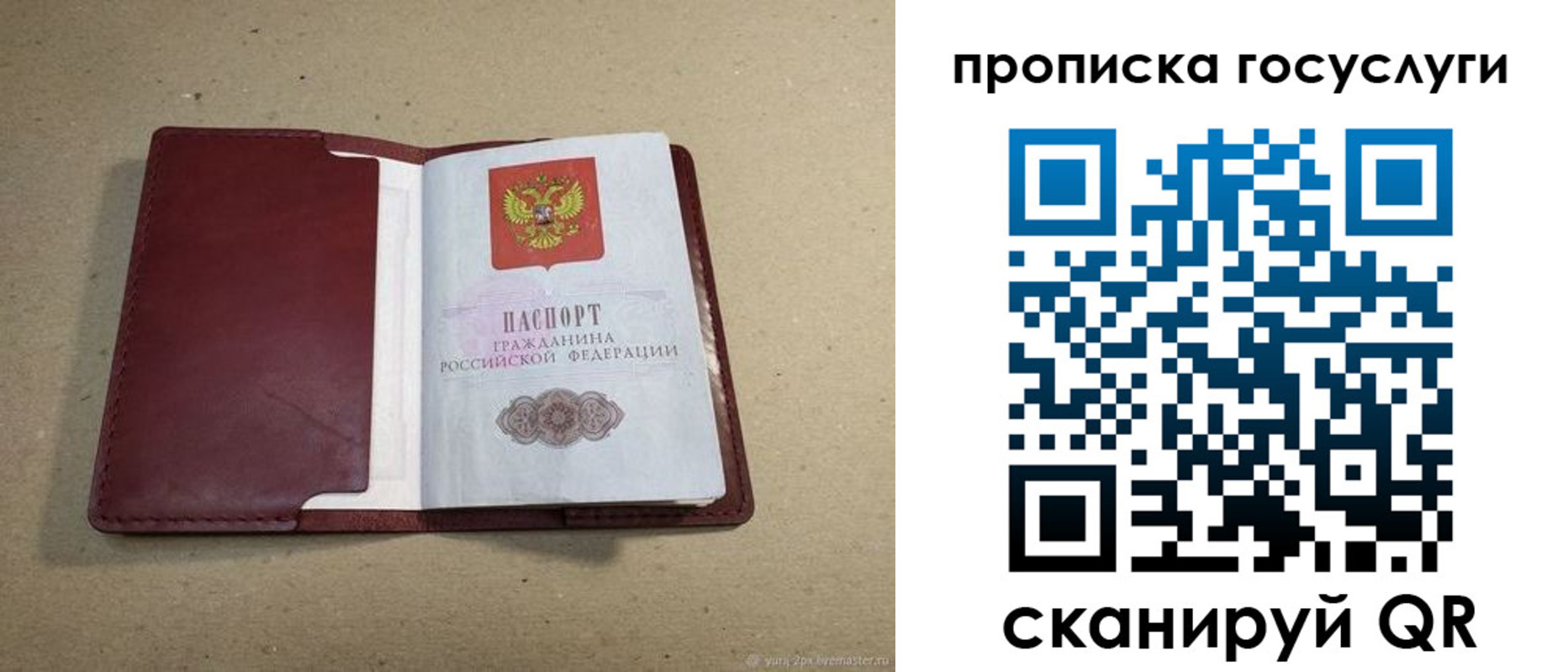 прописка поиск в Великих Луках
